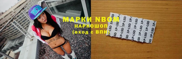 ГАЛЛЮЦИНОГЕННЫЕ ГРИБЫ Бородино