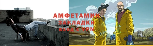 ГАЛЛЮЦИНОГЕННЫЕ ГРИБЫ Бородино