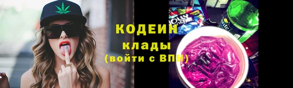 ГАЛЛЮЦИНОГЕННЫЕ ГРИБЫ Бородино