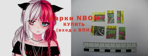 ГАЛЛЮЦИНОГЕННЫЕ ГРИБЫ Бородино