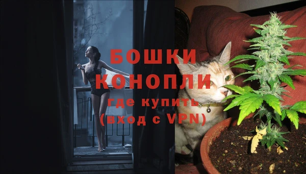 ГАЛЛЮЦИНОГЕННЫЕ ГРИБЫ Бородино