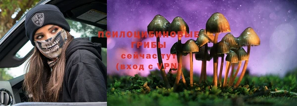 ГАЛЛЮЦИНОГЕННЫЕ ГРИБЫ Бородино